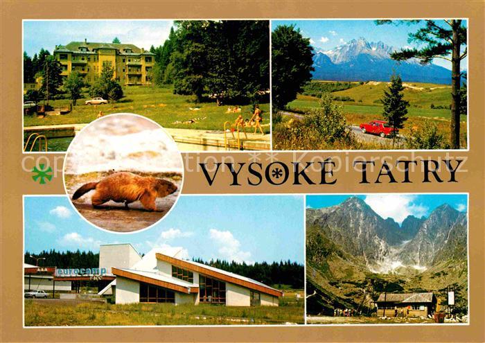 Vysoke Tatry Tatranske Matliare Panorama Svist vrchovsky Eurocampo FICC Skalnata