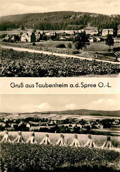 Taubenheim Spree Panorama Heuernte