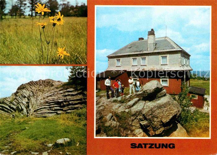 Satzung Arnika Nephelinbasalt Faecher Hirtsteinbaude