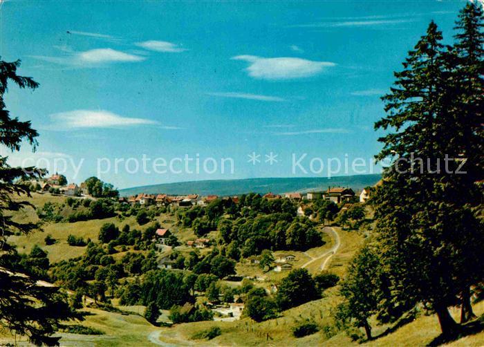 St Andreasberg Harz Panorama