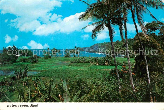 Maui Hawaii Keanae Point