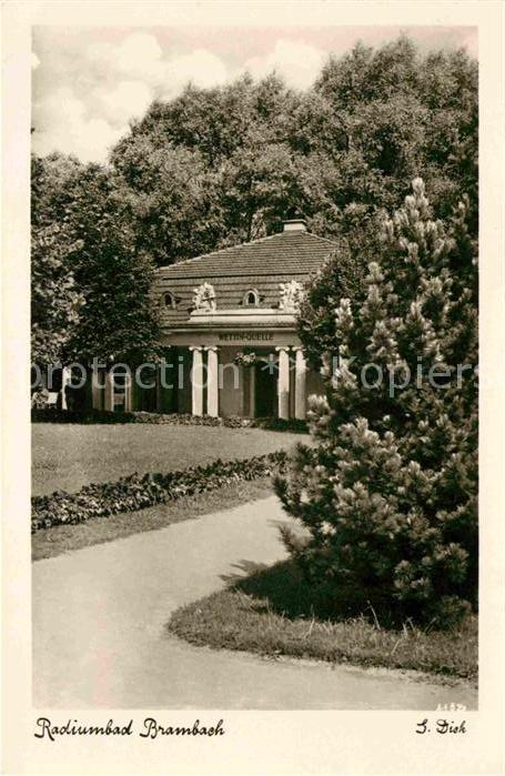 Bad Brambach Wettinquelle Radiumbad