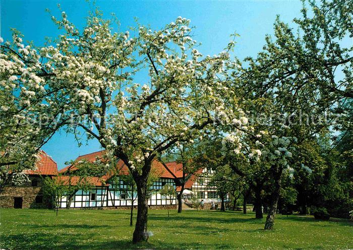 Bad Oeynhausen Klinik Bad Oexen Kinderhaus
