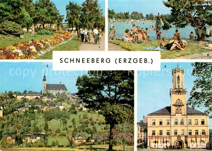 Schneeberg Erzgebirge Promenade Filzteich Kirche Rathaus