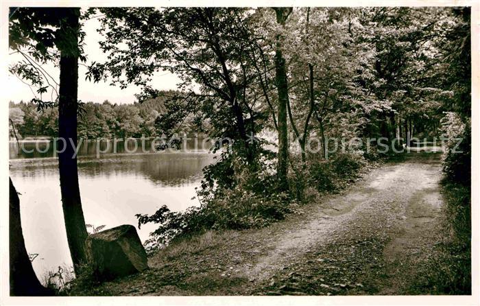 Bad Saeckingen Uferweg Strandbad Waldcafe und Restaurant am Bergsee