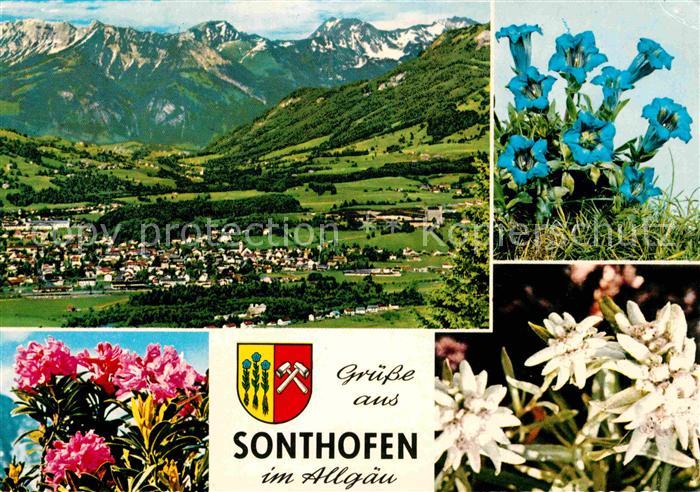Sonthofen Oberallgaeu Gesamtansicht mit Alpenpanorama Alpenflora Blauer Enzian E