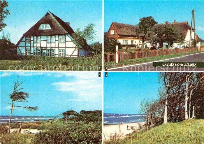 Wieck Darss Reetdachhaus Luftkurort Born Weststrand