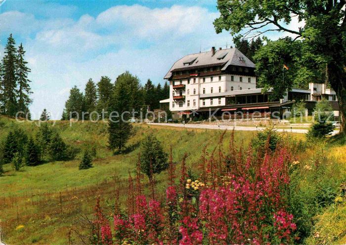 Todtnau Waldhotel am Notschrei Kurhotel Sporthotel Schwarzwald
