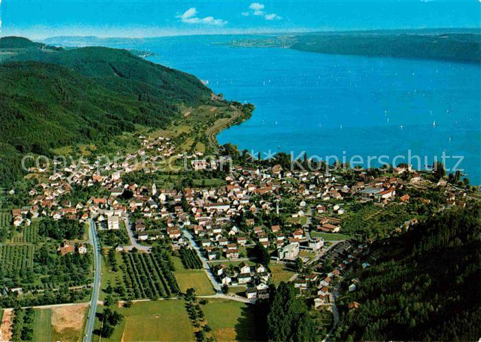 Ludwigshafen Bodensee Blick ueber den ueberlinger See Fliegeraufnahme