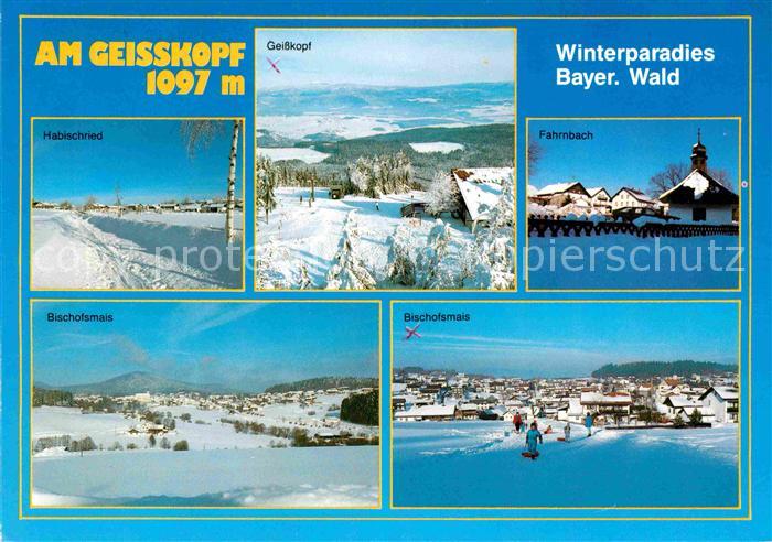 Bischofsmais Wintersportplatz am Geisskopf Bayerischer Wald und Umgebung