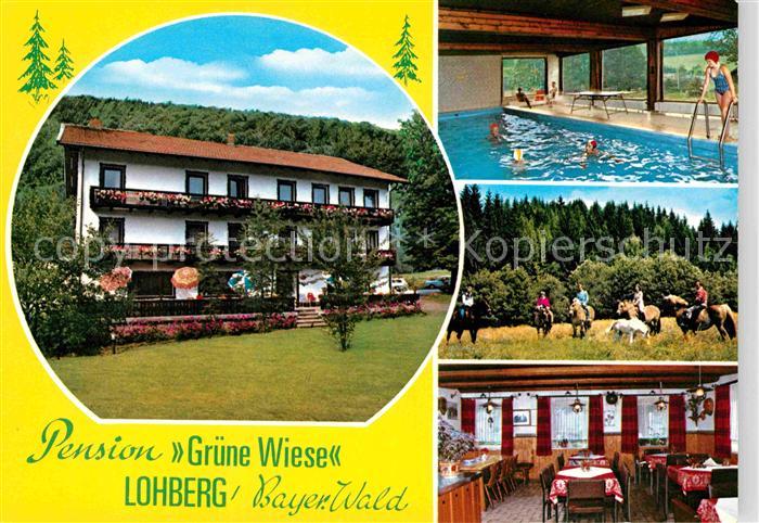 Lohberg Lam Gasthaus Pension Gruene Wiese