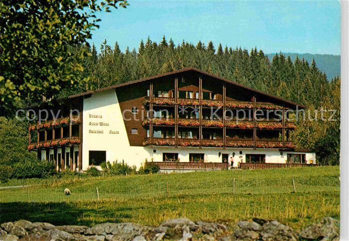 Lohberg Lam Pesion Gruene Wiese