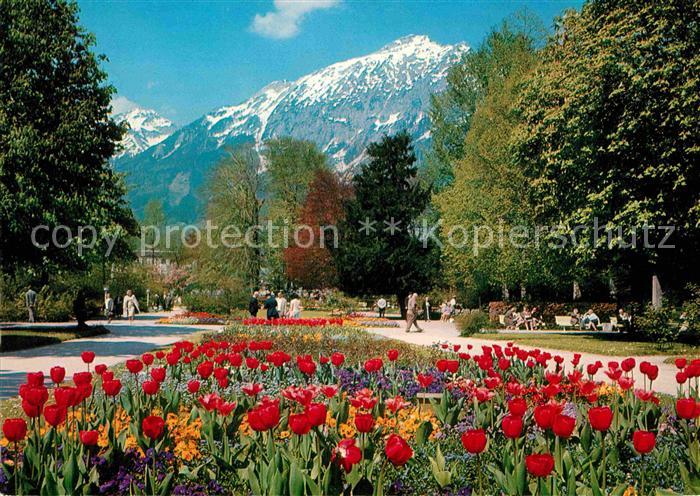 Bad Reichenhall Kurpark Zwiesel Hochstaufen
