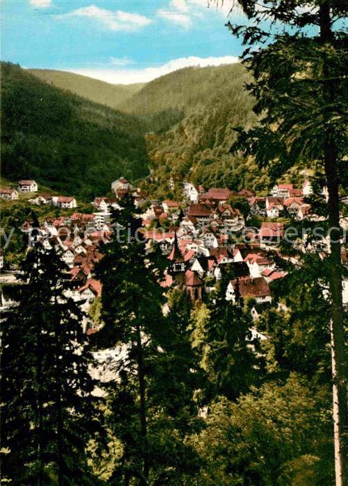 Bad Liebenzell Panorama