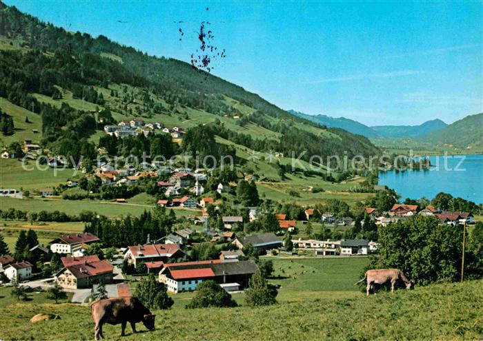 Buehl Alpsee Teilansicht