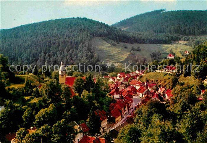 Wildemann Harz Goslar Niedersachsen Panorama