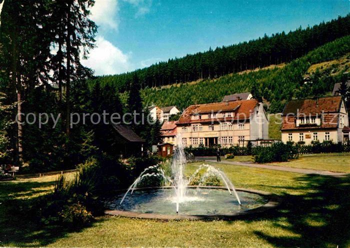 Wildemann Harz Goslar Niedersachsen Kurpark