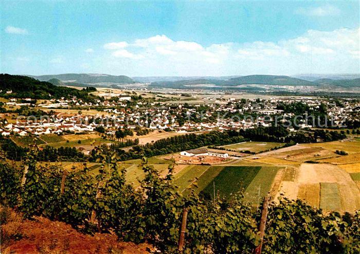 Wittlich Panorama