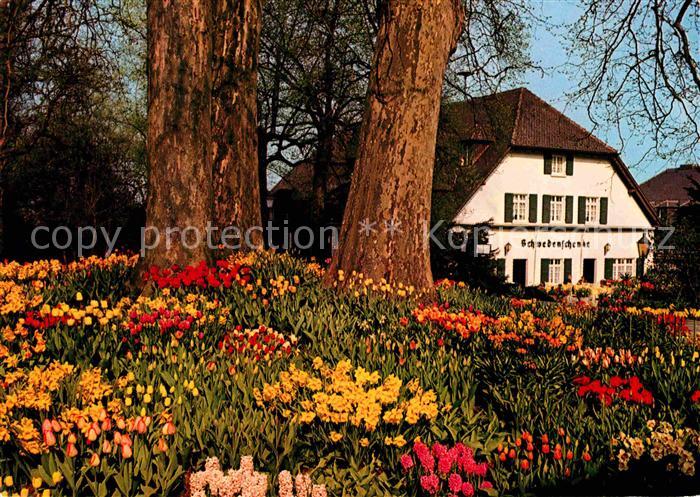 Insel Mainau im Bodensee Schwedenschaenke