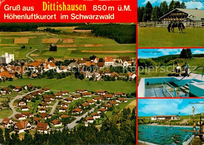 Dittishausen Fliegeraufnahme Freibad