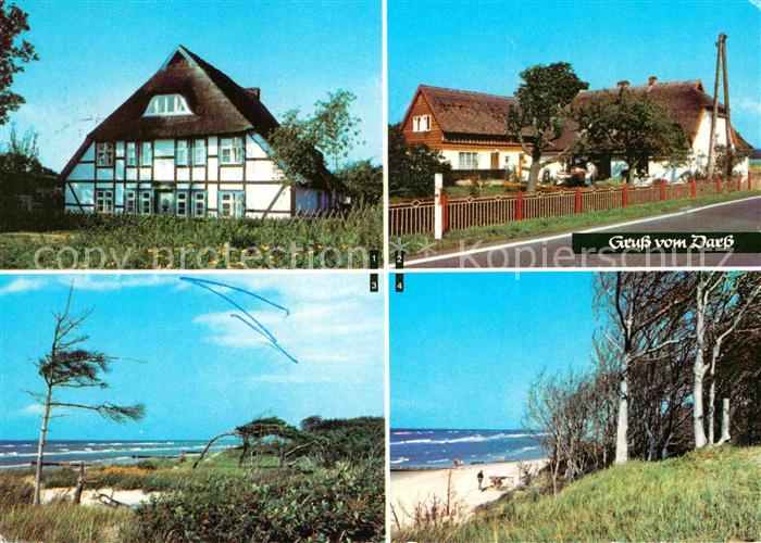 Wieck Darss Weststrand Born