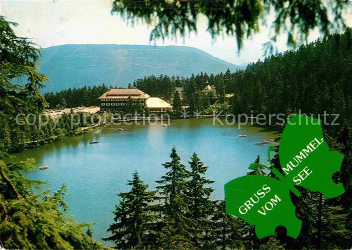 Mummelsee Berghotel Mummelsee