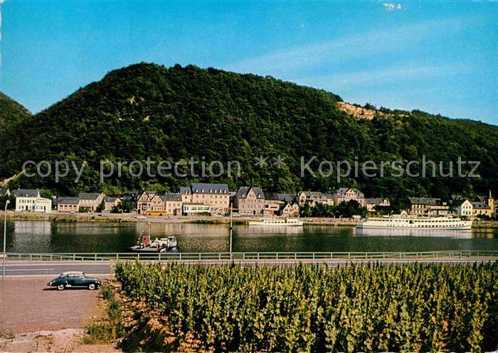 Brodenbach Moselpartie