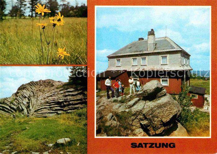 Satzung Arnika Steinfaecher Hirtsteinbaude