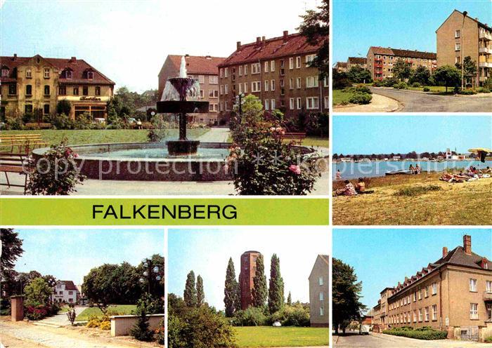 Falkenberg Elster Kiebitzer Baggerteich Wasserturm