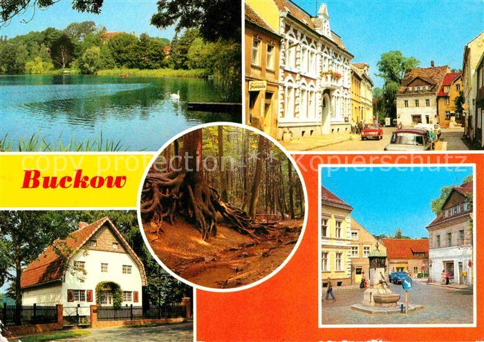 Buckow Berlin Am Buckow-See Wurzelfichte Brecht-Weigel-Haus