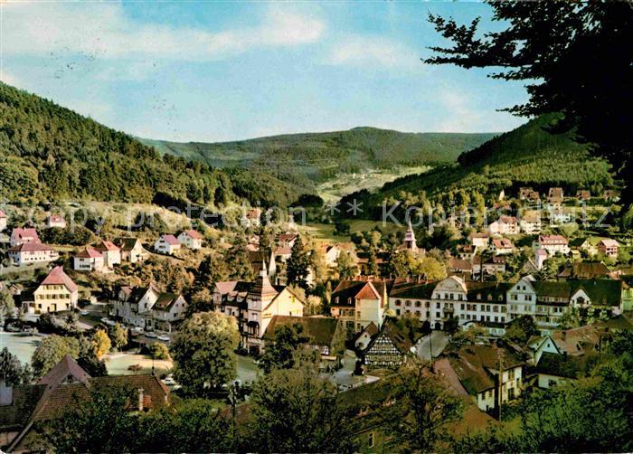 Bad Herrenalb Blick vom Marienweg