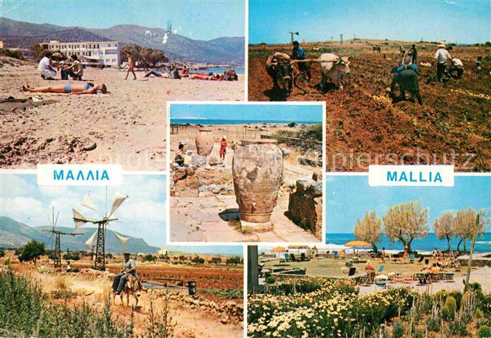 Kreta Crete Mallia Ricordo