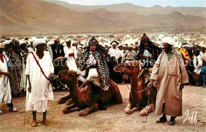 Kamel  Camel Chameau Moussem Marocco
