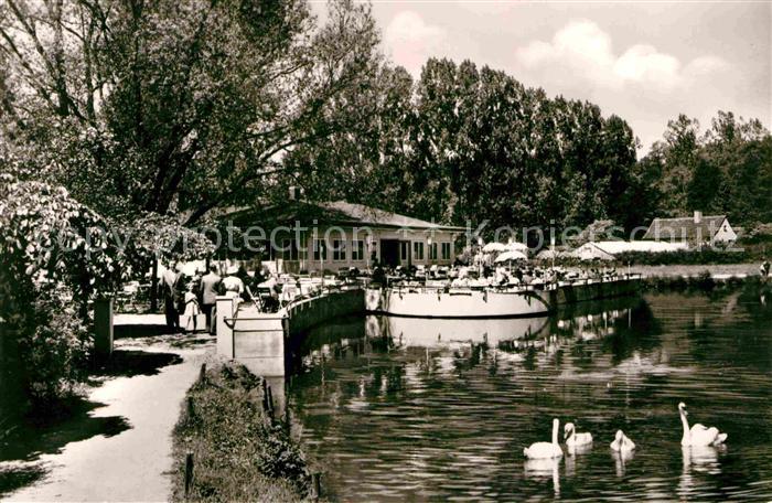 Gandersheim Bad Seeterrassen Schwan