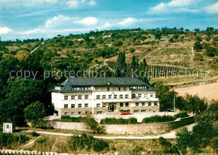 Ruedesheim Rhein Jugendherberge