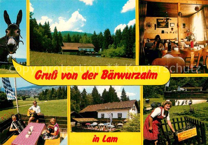 Lam Oberpfalz Baerwurzalm Esel Harmonika