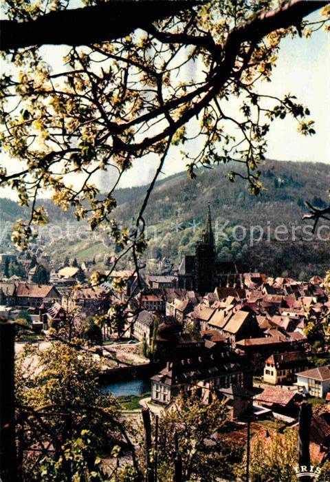 Thann Haut Rhin Elsass Gesamtansicht
