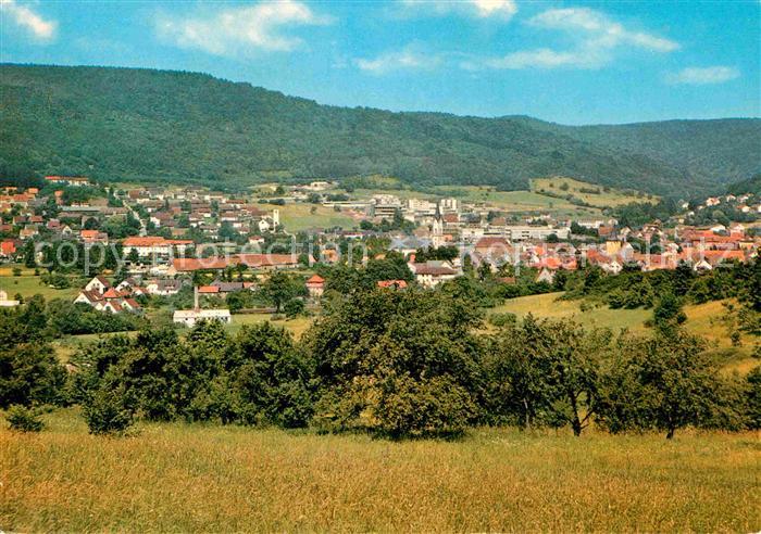 Ebermannstadt Panorama