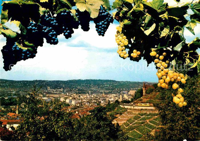STUTTGART CITY Stadt zwischen Wald und Reben