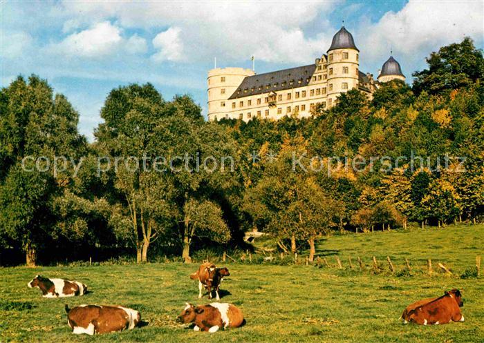 Weselsburg Bueren Bergschloss Viehweide Kuehe