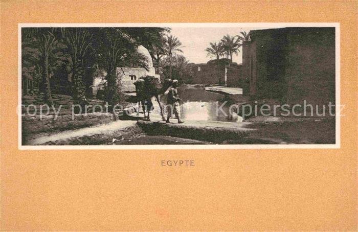 Egypte Dorfpartie Kamel Serie X No 10