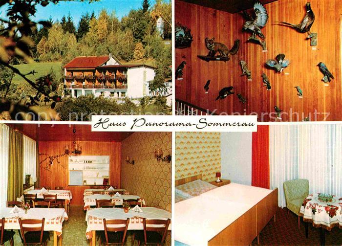 Sommerau Lohberg Haus Panorama Gaestehaus Fremdenzimmer Tierpraeparate