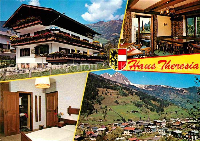 Dorfgastein Pension Haus Theresia Panorama