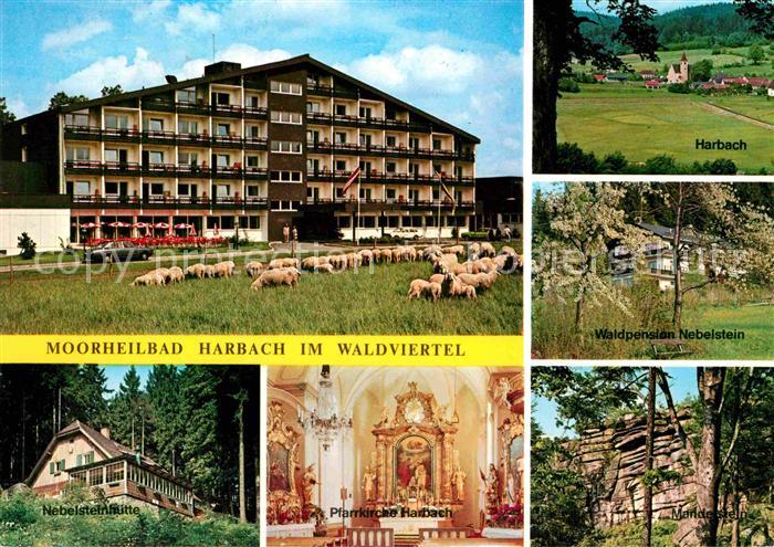 Moorbad Harbach Moorheilbad Diabetes Center Austria Schafe Nebelsteinhuette Kirc