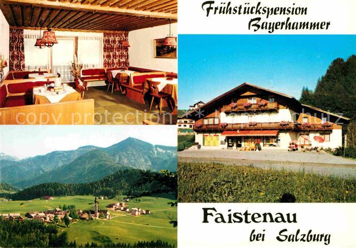 Faistenau Salzburg Pension Bayerhammer Alpenpanorama