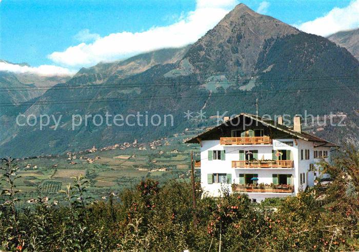 Schenna Meran Garni Hotel Moesslheim Alpen