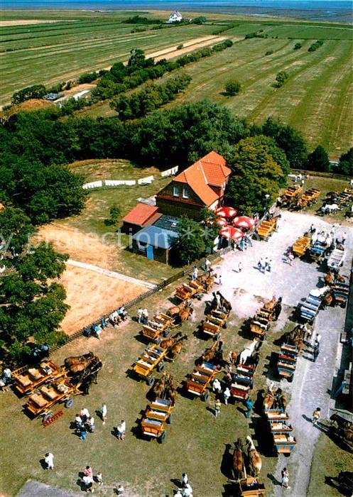 Insel Neuwerk Wattwagen