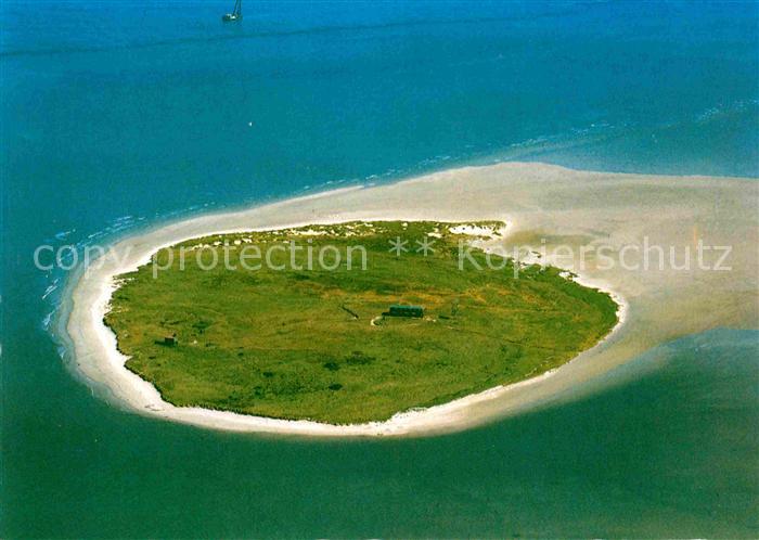 Insel Scharhoern Fliegeraufnahme