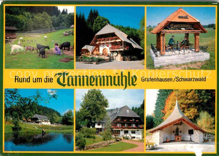 Grafenhausen Schwarzwald Gasthaus Tannenmuehle