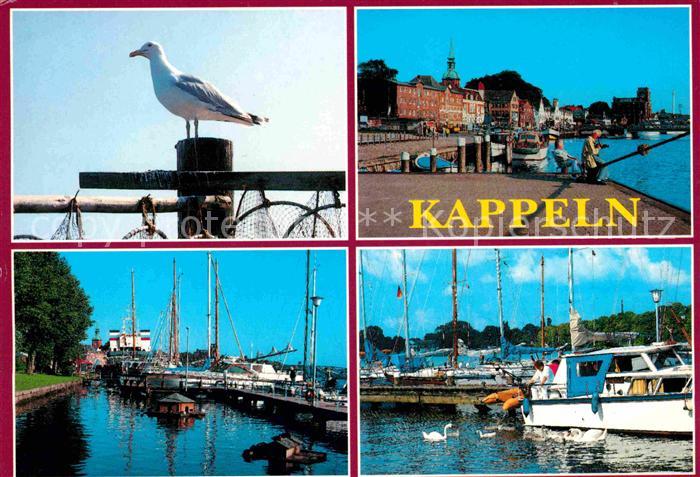 Kappeln Schlei Moewe Hafenpartien